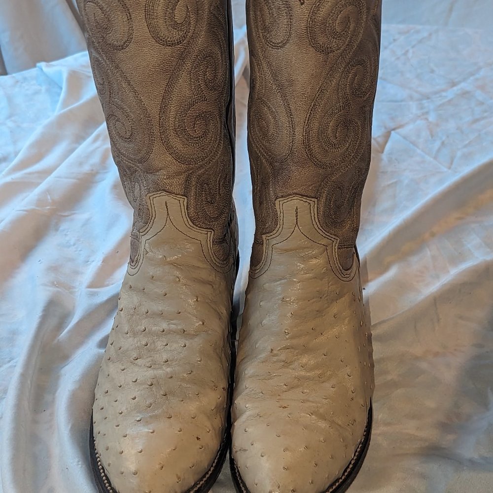 Dan Post Ostrich Boots